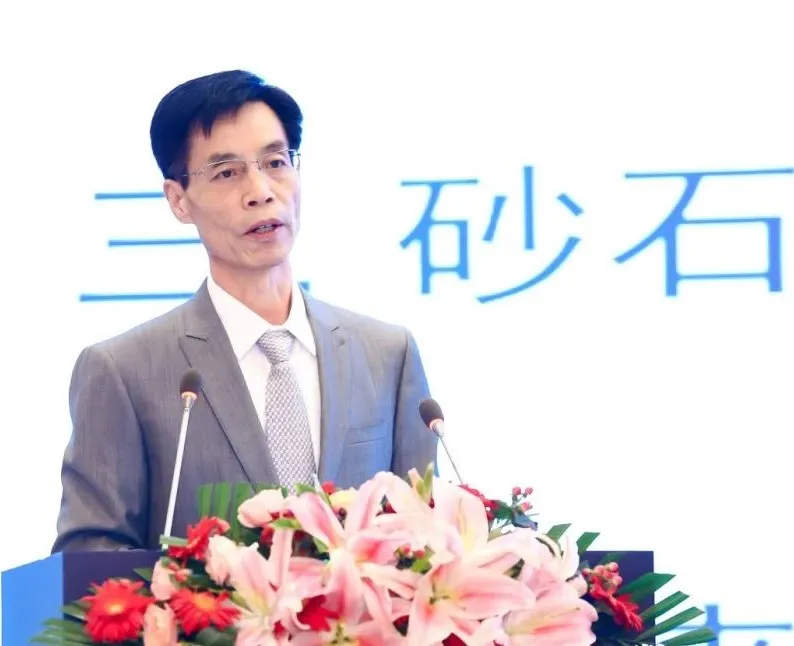 主旨報(bào)告 | 胡幼奕以國際化視角，提出固廢綜合利用和生態(tài)環(huán)境修復(fù)新思路